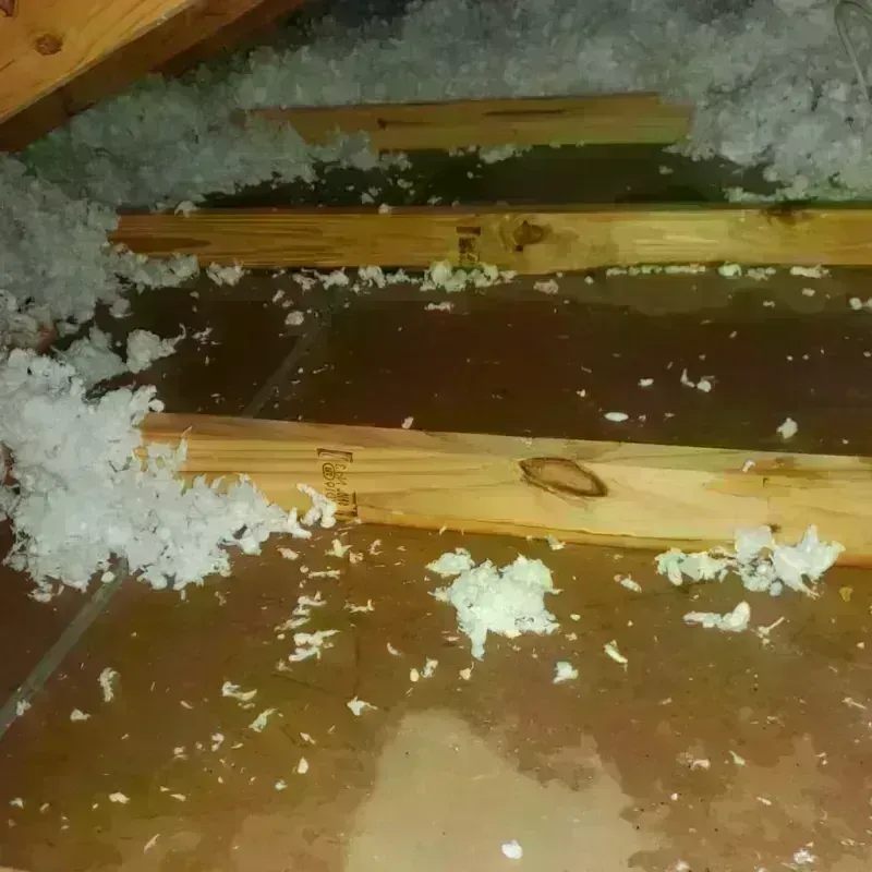 Attic Water Damage in Grove City, PA