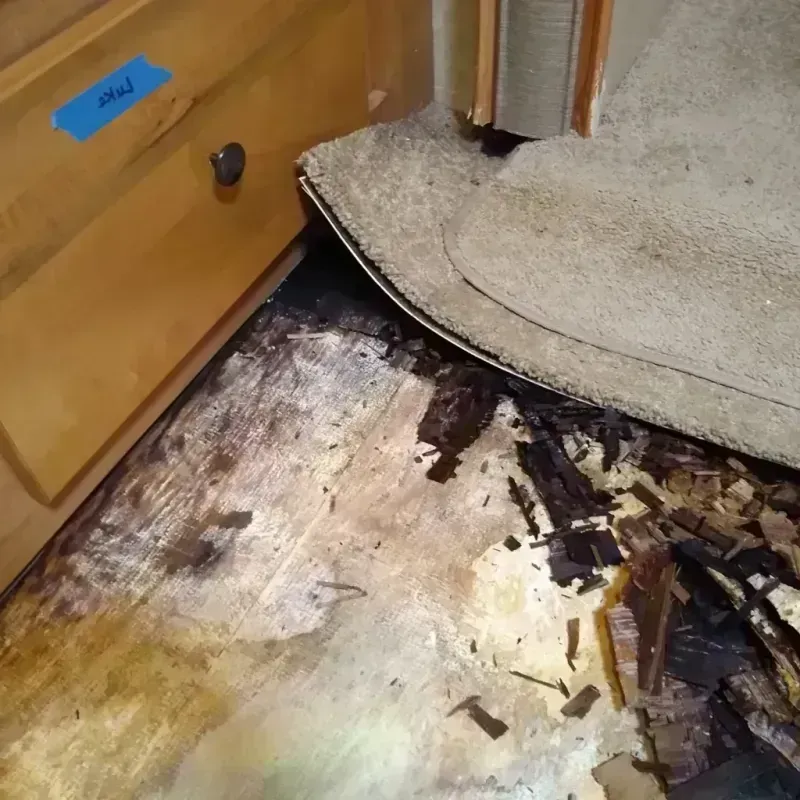 Best Wood Floor Water Damage Service in Grove City, PA